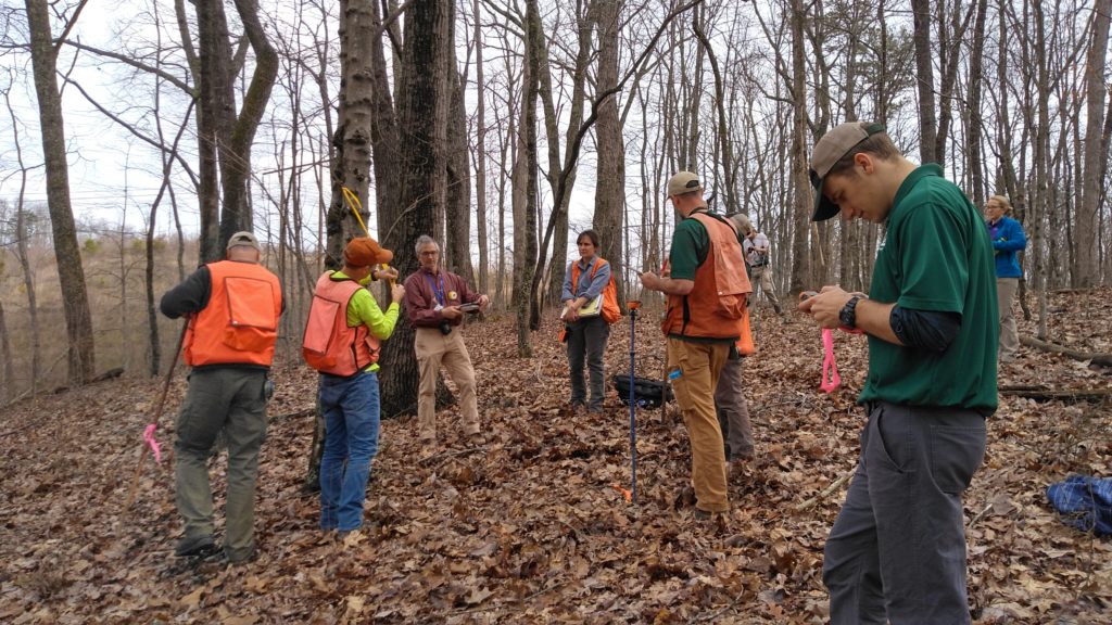 Foresters gathering plot inventory data in the woods