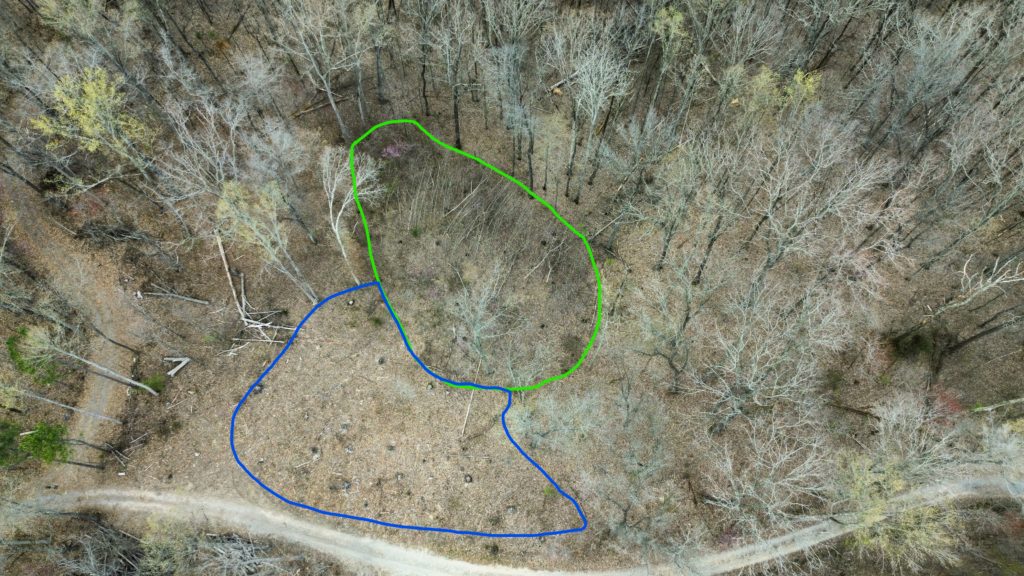 The existing gaps, outlined in green, were expanded through commercial timber harvests, outlined in blue.