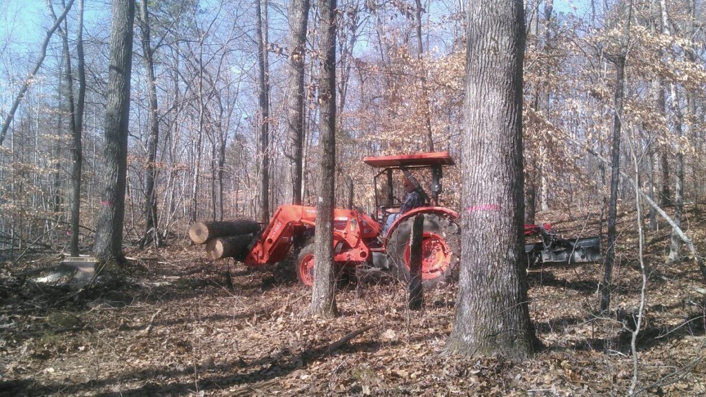 tractor working in the woods