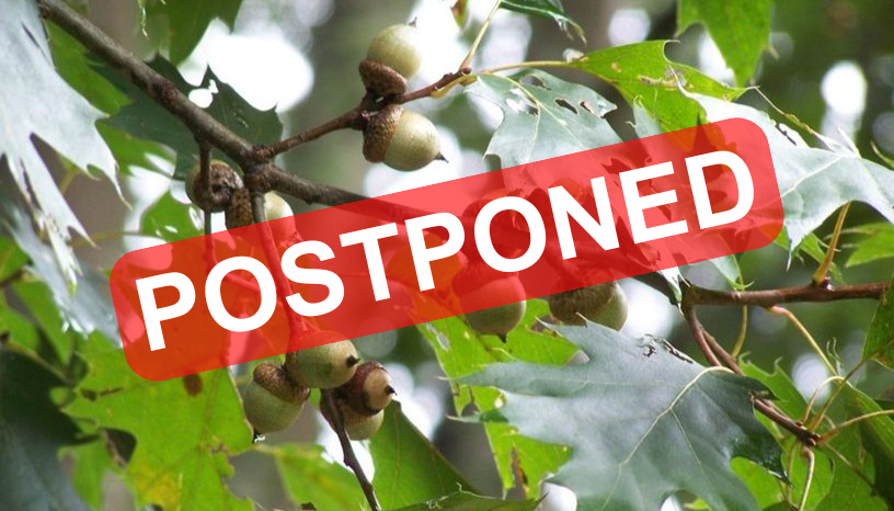 Postponed notice on image of oak trees with acorns for the 2025 Woods and Wildlife Field Day event.