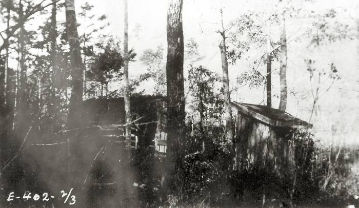 Wooded view of an old chicken house and privy next to each other