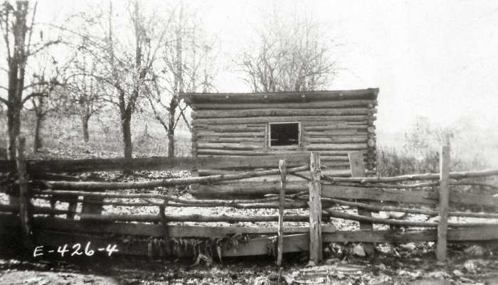Log-style wooden hog house