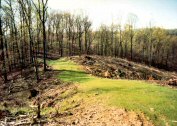 Trees at Forest Resources Research and Education Center
