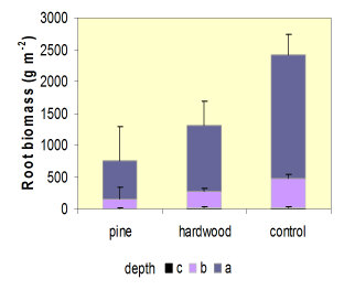 Figure 3 - Root biomass