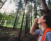 Measuring trees at Forest Resources Research and Education Center